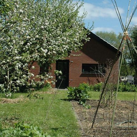 Gastenverblijf Op Het Graveland Zevenhuizen  Luaran gambar