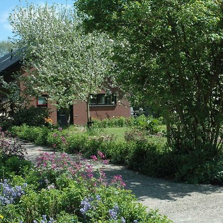 Gastenverblijf Op Het Graveland Zevenhuizen  Luaran gambar