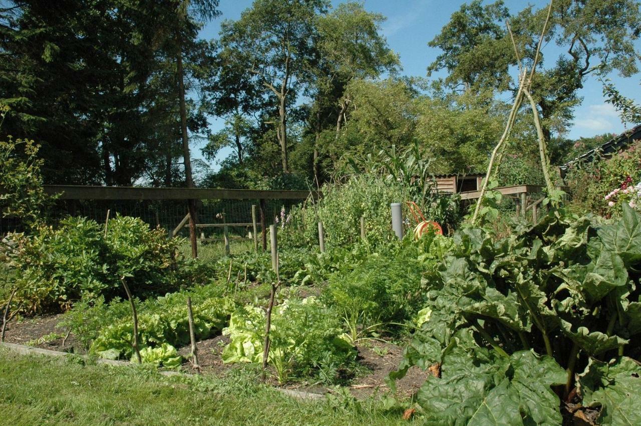 Gastenverblijf Op Het Graveland Zevenhuizen  Luaran gambar